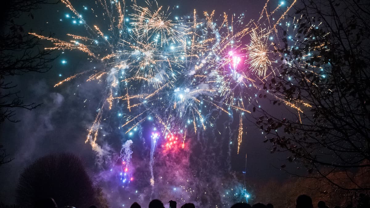 Gallery Lots of ‘wow’ moments at Farnham Fireworks and Torchlit